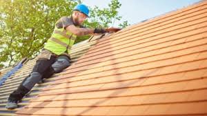 Best Chimney Flashing Repair  in Rineyville, KY