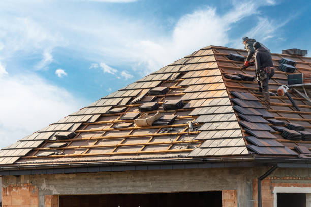 Best Skylight Installation and Repair  in Rineyville, KY